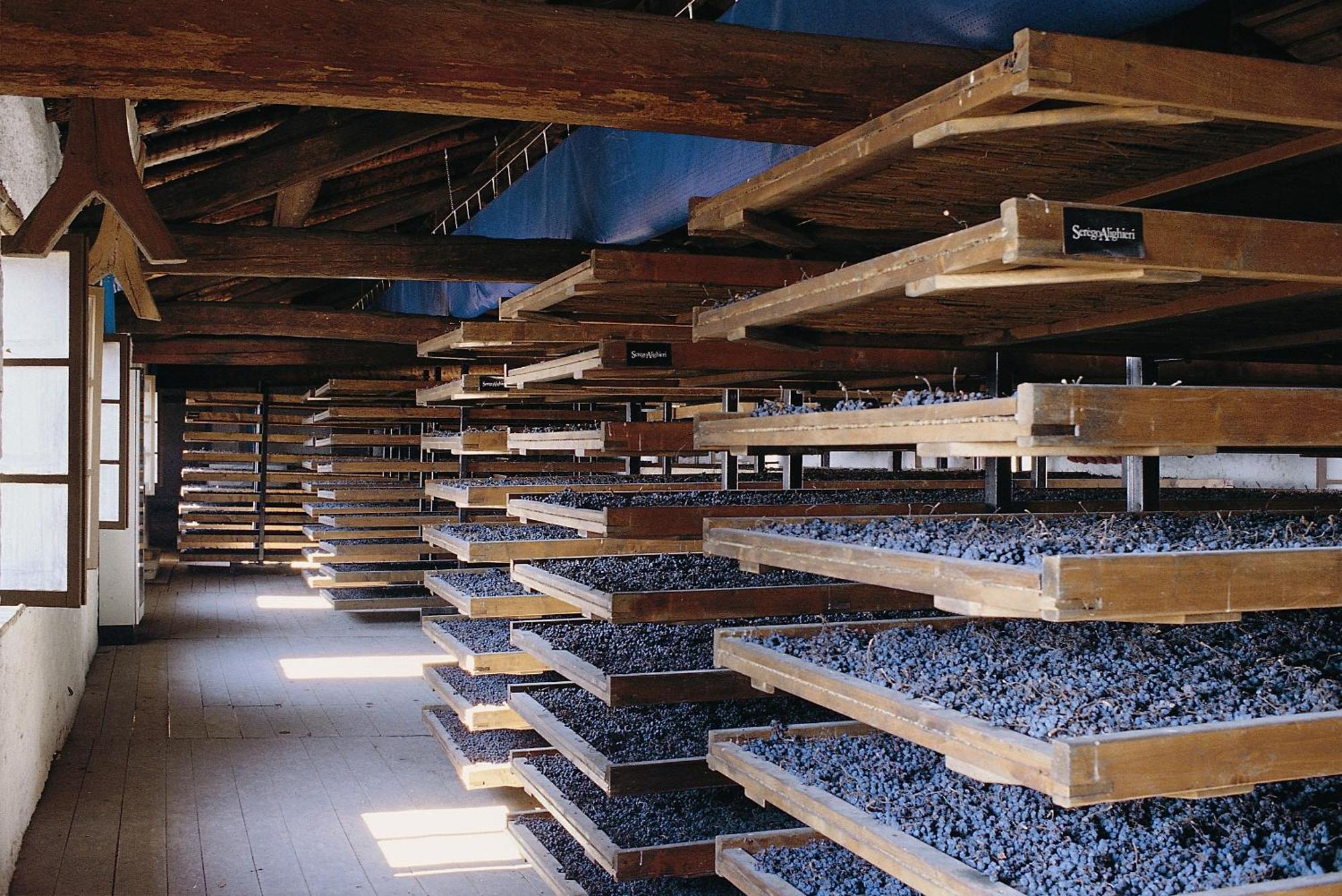 La Foresteria Serego Alighieri SantʼAmbrogio di Valpolicella Exteriör bild