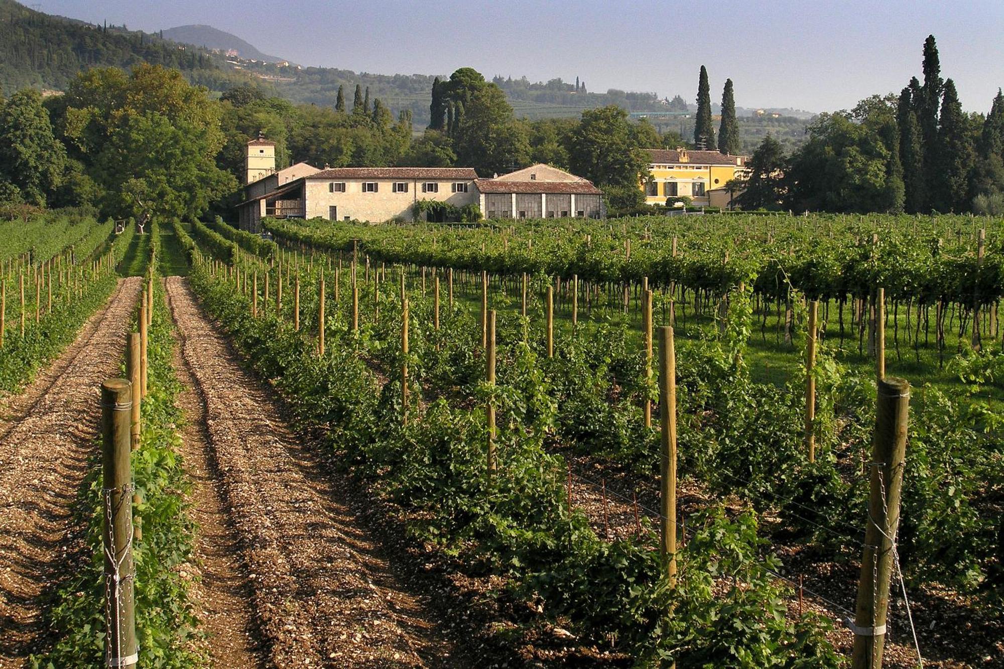 La Foresteria Serego Alighieri SantʼAmbrogio di Valpolicella Exteriör bild